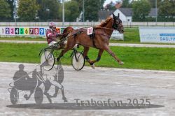 Dateiname=20250914_qu3_070_QU3_0086.jpg
Dateigröße=291KB
Abmessungen: 1000x667
hinzugefügt am: 15. September 2025 20250914_qu3_070_QU3_0086.jpg