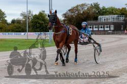 Dateiname=20250914_r01_023_R01_0023.jpg
Dateigröße=301KB
Abmessungen: 1000x667
hinzugefügt am: 15. September 2025 20250914_r01_023_R01_0023.jpg