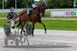 Dateiname=20250914_r01_036_R01_0037.jpg
Dateigröße=269KB
Abmessungen: 1000x667
hinzugefügt am: 15. September 2025 20250914_r01_036_R01_0037.jpg