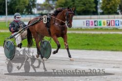 Dateiname=20250914_r01_037_R01_0038.jpg
Dateigröße=282KB
Abmessungen: 1000x667
hinzugefügt am: 15. September 2025 20250914_r01_037_R01_0038.jpg