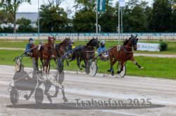 Dateiname=20250914_r01_039_R01_0040.jpg
Dateigröße=312KB
Abmessungen: 1000x667
hinzugefügt am: 15. September 2025 20250914_r01_039_R01_0040.jpg