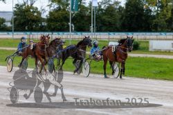 Dateiname=20250914_r01_040_R01_0041.jpg
Dateigröße=313KB
Abmessungen: 1000x667
hinzugefügt am: 15. September 2025 20250914_r01_040_R01_0041.jpg