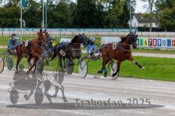 Dateiname=20250914_r01_042_R01_0043.jpg
Dateigröße=316KB
Abmessungen: 1000x667
hinzugefügt am: 15. September 2025 20250914_r01_042_R01_0043.jpg