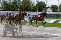 Dateiname=20250914_r01_045_R01_0046.jpg
Dateigröße=321KB
Abmessungen: 1000x667
hinzugefügt am: 15. September 2025 20250914_r01_045_R01_0046.jpg