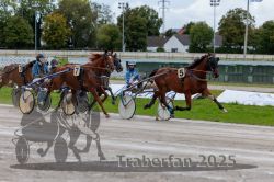 Dateiname=20250914_r01_046_R01_0047.jpg
Dateigröße=320KB
Abmessungen: 1000x667
hinzugefügt am: 15. September 2025 20250914_r01_046_R01_0047.jpg