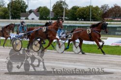 Dateiname=20250914_r01_048_R01_0049.jpg
Dateigröße=309KB
Abmessungen: 1000x667
hinzugefügt am: 15. September 2025 20250914_r01_048_R01_0049.jpg