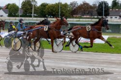 Dateiname=20250914_r01_049_R01_0050.jpg
Dateigröße=309KB
Abmessungen: 1000x667
hinzugefügt am: 15. September 2025 20250914_r01_049_R01_0050.jpg