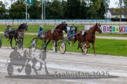 Dateiname=20250914_r01_060_R01_0065.jpg
Dateigröße=313KB
Abmessungen: 1000x667
hinzugefügt am: 15. September 2025 20250914_r01_060_R01_0065.jpg