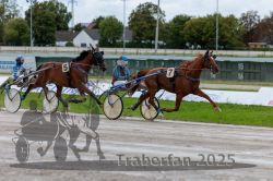 Dateiname=20250914_r01_068_R01_0073.jpg
Dateigröße=307KB
Abmessungen: 1000x667
hinzugefügt am: 15. September 2025 20250914_r01_068_R01_0073.jpg