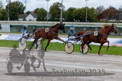 Dateiname=20250914_r01_069_R01_0074.jpg
Dateigröße=313KB
Abmessungen: 1000x667
hinzugefügt am: 15. September 2025 20250914_r01_069_R01_0074.jpg