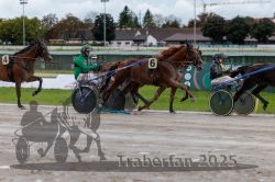 Dateiname=20250914_r01_074_R01_0079.jpg
Dateigröße=294KB
Abmessungen: 1000x667
hinzugefügt am: 15. September 2025 20250914_r01_074_R01_0079.jpg