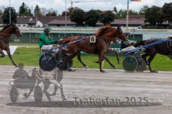 Dateiname=20250914_r01_075_R01_0080.jpg
Dateigröße=282KB
Abmessungen: 1000x667
hinzugefügt am: 15. September 2025 20250914_r01_075_R01_0080.jpg