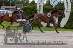 Dateiname=20250914_r01_102_R01_0108.jpg
Dateigröße=317KB
Abmessungen: 1000x667
hinzugefügt am: 15. September 2025 20250914_r01_102_R01_0108.jpg