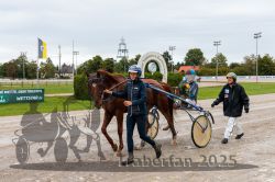 Dateiname=20250914_r01_112_CR5_0010.jpg
Dateigröße=317KB
Abmessungen: 1000x667
hinzugefügt am: 15. September 2025 20250914_r01_112_CR5_0010.jpg