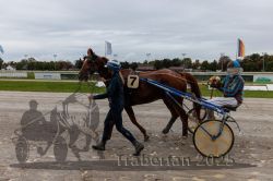 Dateiname=20250914_r01_123_CR5_0021.jpg
Dateigröße=290KB
Abmessungen: 1000x667
hinzugefügt am: 15. September 2025 20250914_r01_123_CR5_0021.jpg