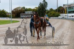 Dateiname=20250914_r01_126_CR5_0024.jpg
Dateigröße=364KB
Abmessungen: 1000x667
hinzugefügt am: 15. September 2025 20250914_r01_126_CR5_0024.jpg