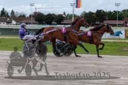 Dateiname=20250914_r02_079_R02_0098.jpg
Dateigröße=280KB
Abmessungen: 1000x667
hinzugefügt am: 15. September 2025 20250914_r02_079_R02_0098.jpg