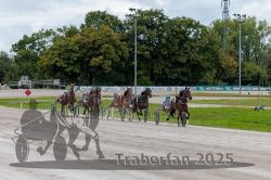 Dateiname=20250914_r02_084_R02_0104.jpg
Dateigröße=319KB
Abmessungen: 1000x667
hinzugefügt am: 15. September 2025 20250914_r02_084_R02_0104.jpg