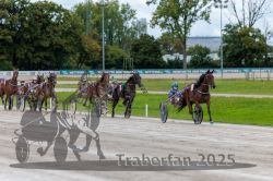 Dateiname=20250914_r02_088_R02_0109.jpg
Dateigröße=325KB
Abmessungen: 1000x667
hinzugefügt am: 15. September 2025 20250914_r02_088_R02_0109.jpg