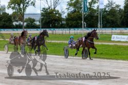 Dateiname=20250914_r02_091_R02_0112.jpg
Dateigröße=325KB
Abmessungen: 1000x667
hinzugefügt am: 15. September 2025 20250914_r02_091_R02_0112.jpg