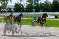 Dateiname=20250914_r02_092_R02_0113.jpg
Dateigröße=326KB
Abmessungen: 1000x667
hinzugefügt am: 15. September 2025 20250914_r02_092_R02_0113.jpg