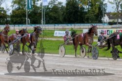 Dateiname=20250914_r02_098_R02_0119.jpg
Dateigröße=305KB
Abmessungen: 1000x667
hinzugefügt am: 15. September 2025 20250914_r02_098_R02_0119.jpg