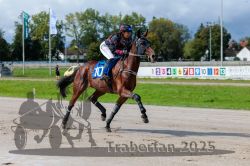 Dateiname=20250914_r04_008_R04_0011.jpg
Dateigröße=302KB
Abmessungen: 1000x667
hinzugefügt am: 15. September 2025 20250914_r04_008_R04_0011.jpg