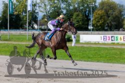 Dateiname=20250914_r04_021_R04_0029.jpg
Dateigröße=308KB
Abmessungen: 1000x667
hinzugefügt am: 15. September 2025 20250914_r04_021_R04_0029.jpg