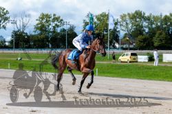 Dateiname=20250914_r04_032_R04_0046.jpg
Dateigröße=324KB
Abmessungen: 1000x667
hinzugefügt am: 15. September 2025 20250914_r04_032_R04_0046.jpg