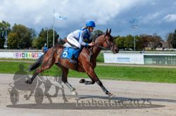 Dateiname=20250914_r04_035_R04_0050.jpg
Dateigröße=286KB
Abmessungen: 1000x667
hinzugefügt am: 15. September 2025 20250914_r04_035_R04_0050.jpg