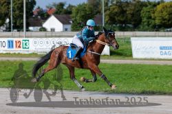 Dateiname=20250914_r04_041_R04_0059.jpg
Dateigröße=294KB
Abmessungen: 1000x667
hinzugefügt am: 15. September 2025 20250914_r04_041_R04_0059.jpg