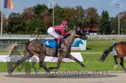 Dateiname=20250914_r04_049_R04_0071.jpg
Dateigröße=301KB
Abmessungen: 1000x667
hinzugefügt am: 15. September 2025 20250914_r04_049_R04_0071.jpg