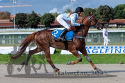 Dateiname=20250914_r04_064_R04_0090.jpg
Dateigröße=321KB
Abmessungen: 1000x667
hinzugefügt am: 15. September 2025 20250914_r04_064_R04_0090.jpg