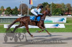 Dateiname=20250914_r04_066_R04_0093.jpg
Dateigröße=308KB
Abmessungen: 1000x667
hinzugefügt am: 15. September 2025 20250914_r04_066_R04_0093.jpg