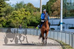 Dateiname=20250914_r04_069_R04_0097.jpg
Dateigröße=320KB
Abmessungen: 1000x667
hinzugefügt am: 15. September 2025 20250914_r04_069_R04_0097.jpg