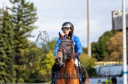 Dateiname=20250914_r04_071_R04_0099.jpg
Dateigröße=247KB
Abmessungen: 1000x667
hinzugefügt am: 15. September 2025 20250914_r04_071_R04_0099.jpg