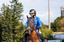 Dateiname=20250914_r04_074_R04_0103.jpg
Dateigröße=248KB
Abmessungen: 1000x667
hinzugefügt am: 15. September 2025 20250914_r04_074_R04_0103.jpg