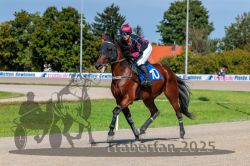 Dateiname=20250914_r04_078_R04_0110.jpg
Dateigröße=342KB
Abmessungen: 1000x667
hinzugefügt am: 15. September 2025 20250914_r04_078_R04_0110.jpg