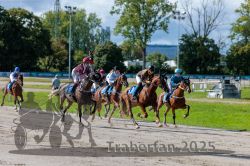 Dateiname=20250914_r04_089_R04_0127.jpg
Dateigröße=358KB
Abmessungen: 1000x667
hinzugefügt am: 15. September 2025 20250914_r04_089_R04_0127.jpg