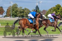 Dateiname=20250914_r04_107_R04_0150.jpg
Dateigröße=327KB
Abmessungen: 1000x667
hinzugefügt am: 15. September 2025 20250914_r04_107_R04_0150.jpg