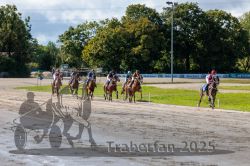 Dateiname=20250914_r04_115_R04_0158.jpg
Dateigröße=378KB
Abmessungen: 1000x667
hinzugefügt am: 15. September 2025 20250914_r04_115_R04_0158.jpg