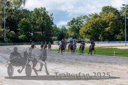 Dateiname=20250914_r04_142_R04_0189.jpg
Dateigröße=360KB
Abmessungen: 1000x667
hinzugefügt am: 15. September 2025 20250914_r04_142_R04_0189.jpg