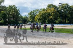 Dateiname=20250914_r04_144_R04_0191.jpg
Dateigröße=347KB
Abmessungen: 1000x667
hinzugefügt am: 15. September 2025 20250914_r04_144_R04_0191.jpg