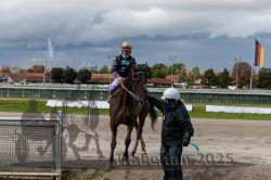 Dateiname=20250914_r04_176_CR5_0125.jpg
Dateigröße=296KB
Abmessungen: 1000x667
hinzugefügt am: 15. September 2025 20250914_r04_176_CR5_0125.jpg