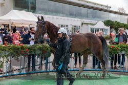 Dateiname=20250914_r04_179_CR5_0130.jpg
Dateigröße=374KB
Abmessungen: 1000x667
hinzugefügt am: 15. September 2025 20250914_r04_179_CR5_0130.jpg