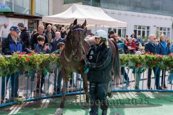 Dateiname=20250914_r04_185_CR5_0138.jpg
Dateigröße=413KB
Abmessungen: 1000x667
hinzugefügt am: 15. September 2025 20250914_r04_185_CR5_0138.jpg