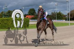 Dateiname=20250914_r04_195_CR5_0149.jpg
Dateigröße=325KB
Abmessungen: 1000x667
hinzugefügt am: 15. September 2025 20250914_r04_195_CR5_0149.jpg