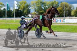 Dateiname=20250914_r05_023_R05_0034.jpg
Dateigröße=325KB
Abmessungen: 1000x667
hinzugefügt am: 15. September 2025 20250914_r05_023_R05_0034.jpg