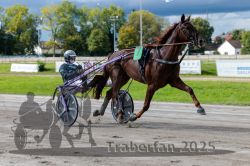 Dateiname=20250914_r05_024_R05_0035.jpg
Dateigröße=310KB
Abmessungen: 1000x667
hinzugefügt am: 15. September 2025 20250914_r05_024_R05_0035.jpg