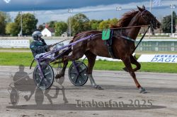 Dateiname=20250914_r05_026_R05_0037.jpg
Dateigröße=296KB
Abmessungen: 1000x667
hinzugefügt am: 15. September 2025 20250914_r05_026_R05_0037.jpg